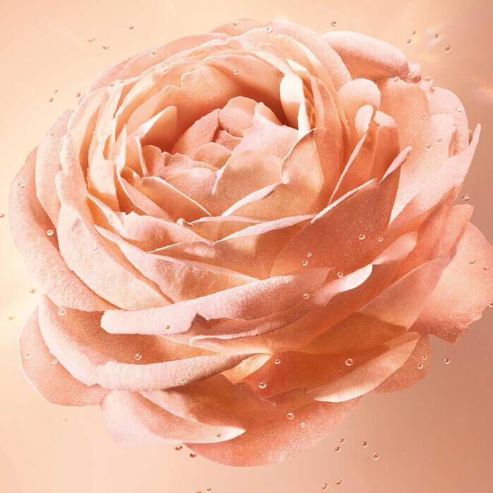 Absolue Essence-In-Powder